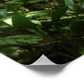 Dominicaanse Regenwoud I Tropische Groene Natuur Poster (Hoek)