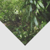 Dominicaanse Regenwoud I Tropische Groene Natuur Tissuepapier (Detail)