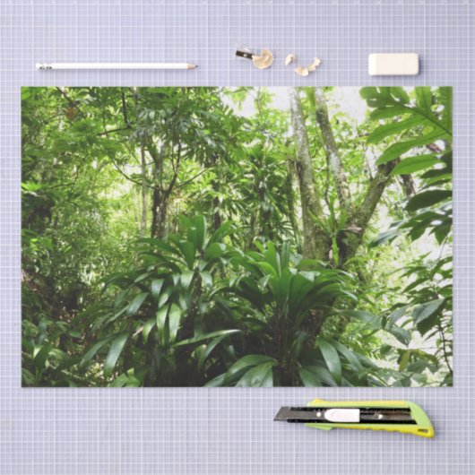 Dominicaanse Regenwoud I Tropische Groene Natuur Tissuepapier (Craft)