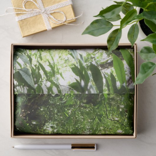 Dominicaanse Regenwoud I Tropische Groene Natuur Tissuepapier (Geschenk)