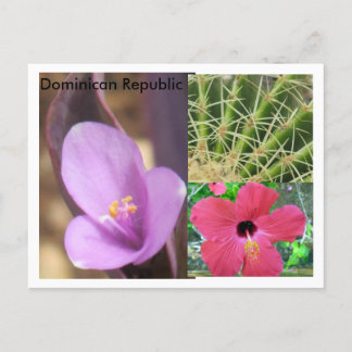 Dominicaanse Republiek Briefkaart