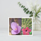 Dominicaanse Republiek Briefkaart (Staand voorkant)