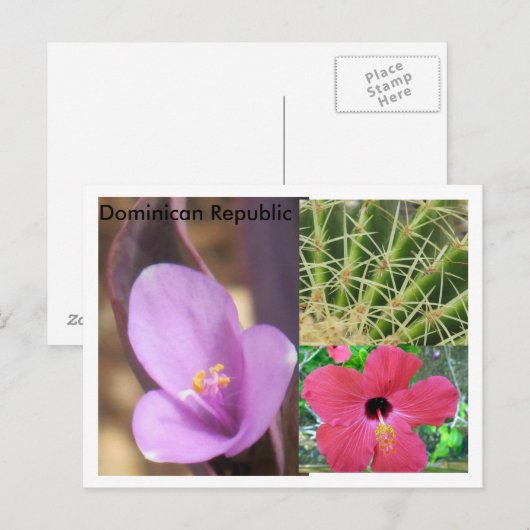 Dominicaanse Republiek Briefkaart (Voorkant / Achterkant)