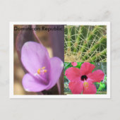 Dominicaanse Republiek Briefkaart (Voorkant)