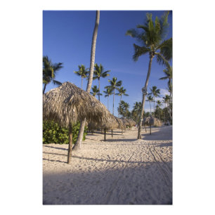 Dominicaanse Republiek, Caraïben, Punta Cana, 6 Foto Afdruk