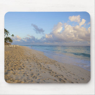 Dominicaanse Republiek, La Altagracia, Punta Cana, Muismat