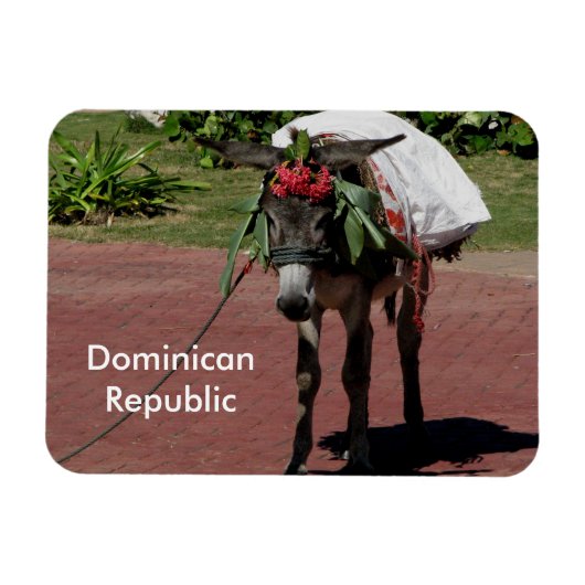 Dominicaanse Republiek magneet (Horizontaal)