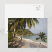 Dominicaanse Republiek, Noordkust, Abreu, Playa 3 Briefkaart (Voorkant / Achterkant)