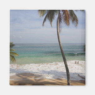 Dominicaanse Republiek, Noordkust, Abreu, Playa 4 Magneet