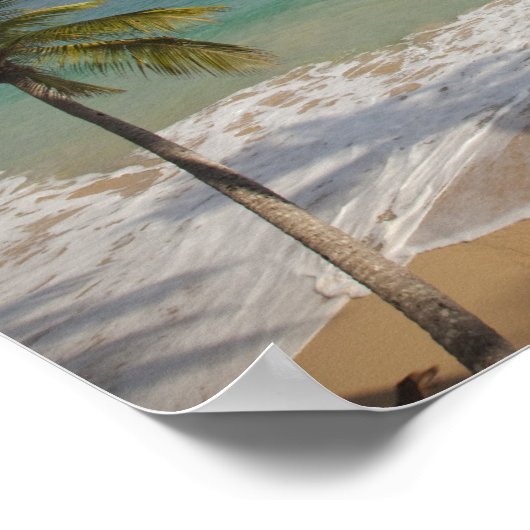 Dominicaanse Republiek, Noordkust, Abreu, Playa 4 Poster (Hoek)