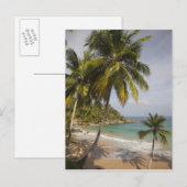 Dominicaanse Republiek, Noordkust, Abreu, Playa Briefkaart (Voorkant / Achterkant)