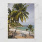 Dominicaanse Republiek, Noordkust, Abreu, Playa Briefkaart (Voorkant)