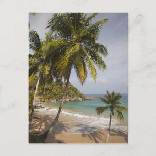 Dominicaanse Republiek, Noordkust, Abreu, Playa Briefkaart (Voorkant)