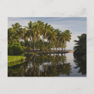 Dominicaanse Republiek, Noordkust, Nagua, strand Briefkaart