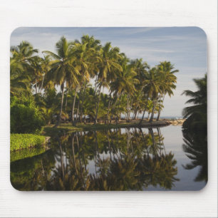 Dominicaanse Republiek, Noordkust, Nagua, Strand Muismat