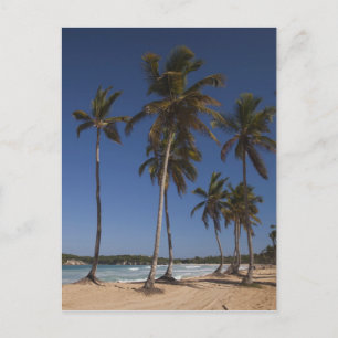 Dominicaanse Republiek, Punta Cana Regio, El Briefkaart