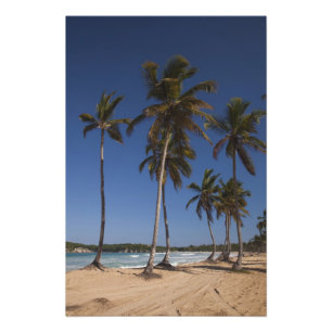 Dominicaanse Republiek, Punta Cana Regio, El Foto Afdruk