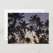 Dominicaanse Republiek, Samana Peninsula, Las 2 Briefkaart (Voorkant / Achterkant)