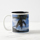 Dominicaanse Republiek, Samana Peninsula, Las 4 Tweekleurige Koffiemok (Links)