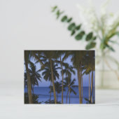 Dominicaanse Republiek, Samana Peninsula, Las Briefkaart (Staand voorkant)