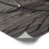 Dominicaanse Republiek, Santo Domingo, Zona Poster (Hoek)