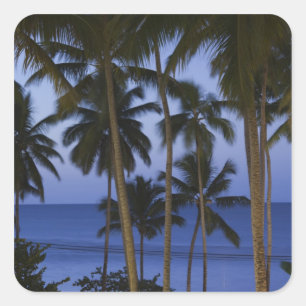 Dominicaanse Republiek, Schiereiland Samaná, Las Vierkante Sticker