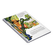 Dominicaanse Republiek, suikerrietaanplant, Notitieboek (Rechterzijde)