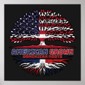 Dominicaanse Republiek Verenigde Staten Verenigde  Poster (Voorkant)