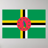Dominicaanse vlag poster (Voorkant)
