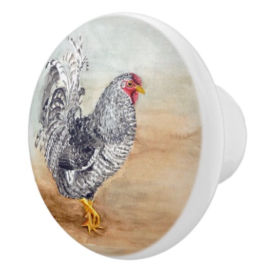 Dominique Chicken Rooster Waterverf Artwork Keramische Knop (Rechts)