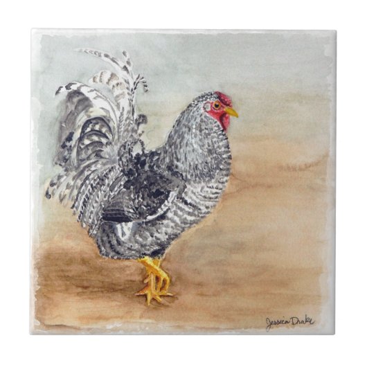 Dominique Chicken Rooster Waterverf Artwork Tegeltje (Voorkant)