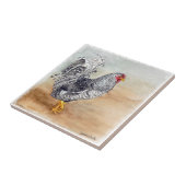 Dominique Chicken Rooster Waterverf Artwork Tegeltje (Zijkant)