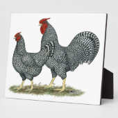 Dominique Chickens Fotoplaat (Zijkant)
