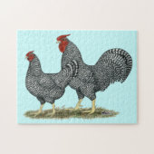 Dominique Chickens Legpuzzel (Horizontaal)