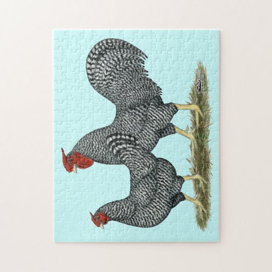 Dominique Chickens Legpuzzel (Verticaal)