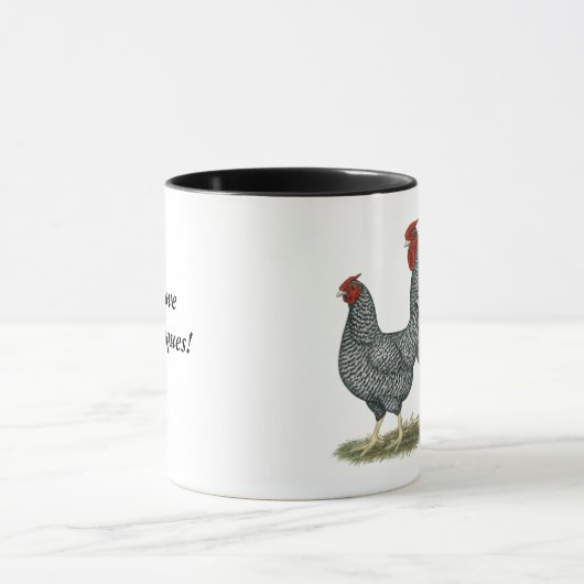 Dominique Chickens Mok (Midden)