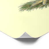 Dominique Chickens Poster (Hoek)