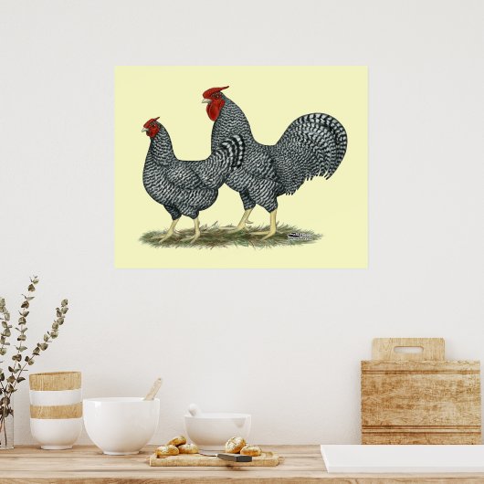 Dominique Chickens Poster (Keuken)