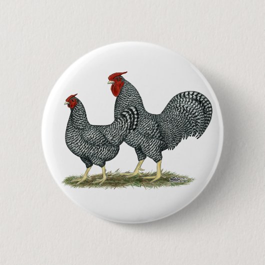 Dominique Chickens Ronde Button 5,7 Cm (Voorkant)