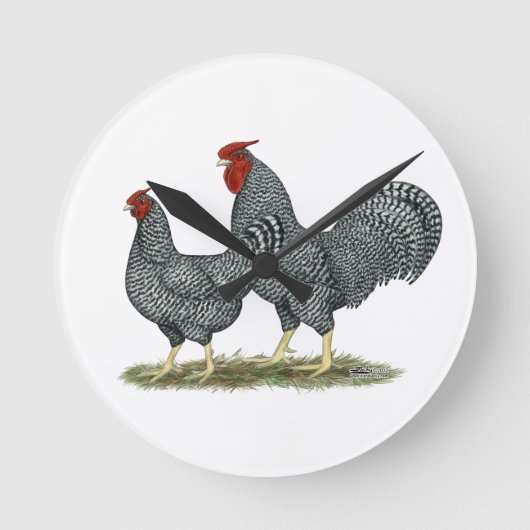 Dominique Chickens Ronde Klok (Voorkant)