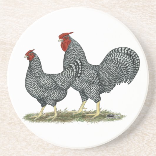Dominique Chickens Zandsteen Onderzetter (Voorkant)