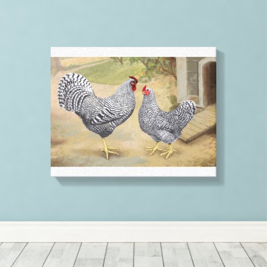 Dominique Rooster en Hen Canvas Afdruk (Insitu (Houten vloer))