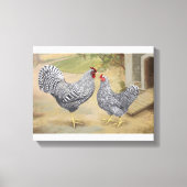 Dominique Rooster en Hen Canvas Afdruk (Voorkant)
