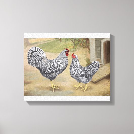 Dominique Rooster en Hen Canvas Afdruk (Voorkant)