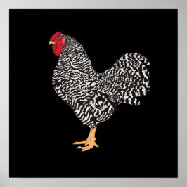 Dominique Rooster Poster
