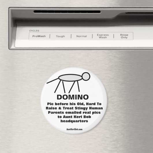 Domino Magneet (Insitu (Vaatwasser))