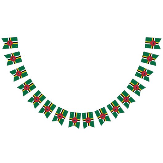 Domkopbanner Vlaggetjes (Alle)