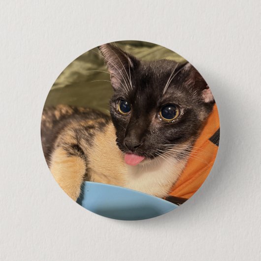 Domme kat ronde button 5,7 cm (Voorkant)