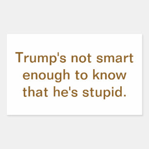 Domme Stomme Trump Is Niet Slim Hankamer Artjunkha Rechthoekige Sticker