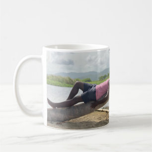 Don Castor motivation mok